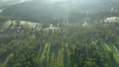 Dağlarda sisli bir sabah