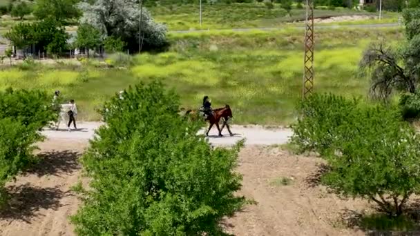 在Cappadocia骑马 — 图库视频影像