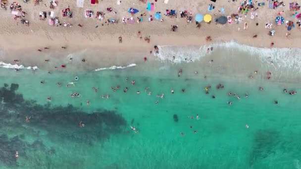 Gente Nuota Nel Mare — Video Stock