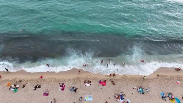 바다에서 수영하는 사람들 — 비디오