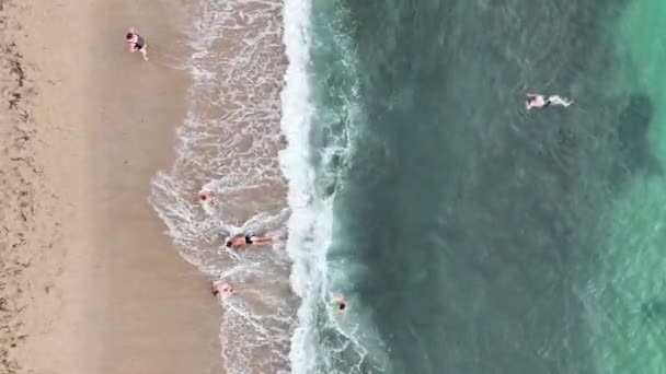 Menschen Schwimmen Meer — Stockvideo