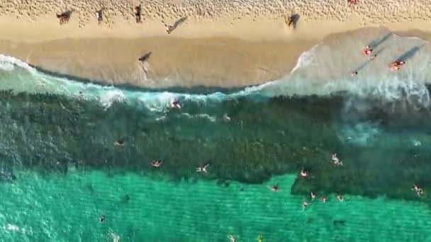 알레냐 바다의 — 비디오