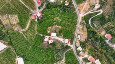 Şehrin üzerinde renkli günbatımı