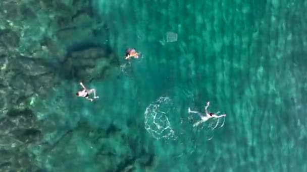 Oameni Care Înoată Vedere Aeriană Mare — Videoclip de stoc