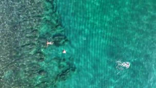 People Swimming Sea Aerial View — Stock Video