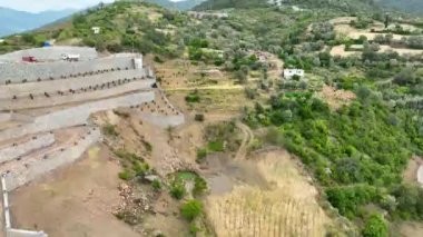 Avokado tarlası manzarası inşa eden çiftçiler