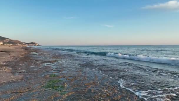 Tekstur Pantai Berbatu — Stok Video