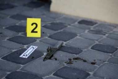 Evidence with yellow CSI marker for evidence numbering on the residental backyard in evening. Crime scene investigation process concept
