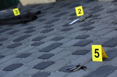 Akşamları arka bahçede numaralandırılan sarı CSI işaretli kanıt. Olay yeri inceleme süreci kavramı