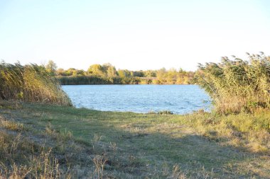 Gölü ve çok renkli ağaçlarıyla güzel bir sonbahar manzarası. Göl manzaralı bir yer ve güneş ışığı olan uzun ağaçlar.