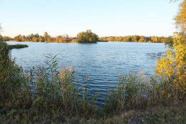 Gölü ve çok renkli ağaçlarıyla güzel bir sonbahar manzarası. Göl manzaralı bir yer ve güneş ışığı olan uzun ağaçlar.