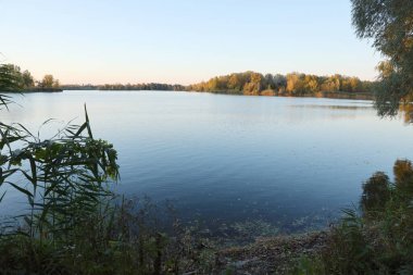 Gölü ve çok renkli ağaçlarıyla güzel bir sonbahar manzarası. Göl manzaralı bir yer ve güneş ışığı olan uzun ağaçlar.