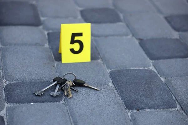 Evidence Yellow Csi Marker Evidence Numbering Residental Backyard Evening Crime — Foto de Stock