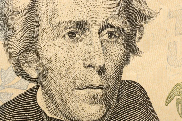 Makro 20 dolarlık banknotun bir kısmıyla vuruldu. 20 dolarlık banknot, yüksek çözünürlüklü yakın plan fotoğraf. Para kazanma, ödeme günü veya vergi ödeme dönemi kavramı