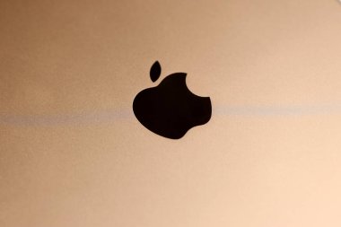 KHARKIV, UKRAINE - 27 Ocak 2021: Şirketin logosuna sahip yepyeni Apple iPad altın gövde yüzeyi. Apple Inc. merkezi Kaliforniya 'da bulunan bir Amerikan teknoloji şirketidir.