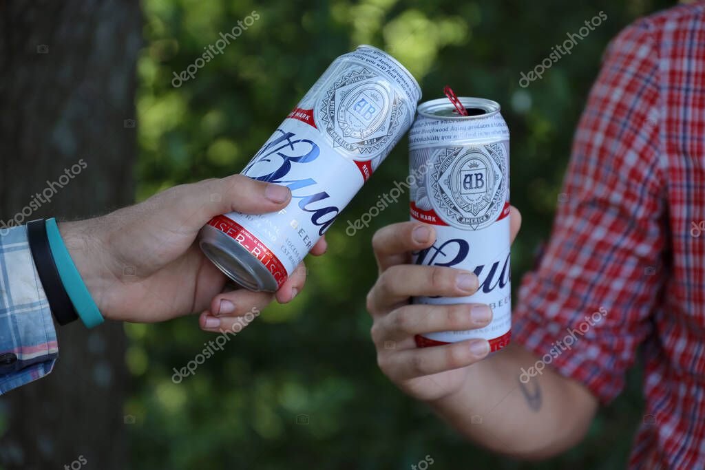 SUMY, UKRAINE - AUGUST 01, 2021: Young man raise Budweiser Bud beer can with male friend on blurred river with kayak and trees. Budweiser is one of the most popular beer brands in the United States