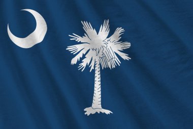 Güney Carolina eyalet bayrağı. Stüdyo ışıklarının altında büyük kıvrımlar sallanıyor. Resmi semboller ve renkler kumaş pankartıyla