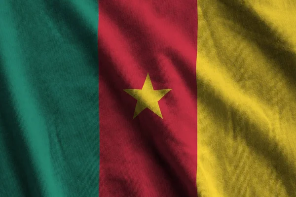 Cameroon Flag Big Folds Waving Close Studio Light Indoors Official — Stock Photo, Image