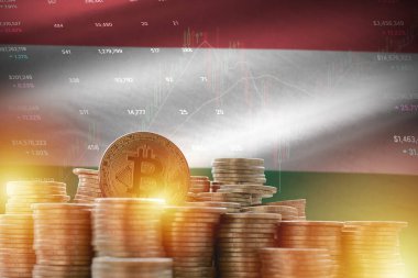 Macaristan bayrağı ve büyük miktarda altın bitcoin sikkeler ve ticaret platformu şeması. Kripto para birimi kavramı