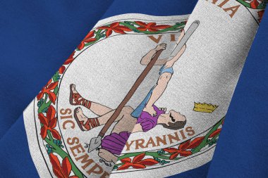 Virginia eyaleti bayrağı. Stüdyo ışıklarının altında büyük kıvrımlar sallanıyor. Resmi semboller ve renkler kumaş pankartıyla