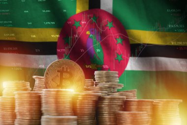 Dominika bayrağı ve büyük miktarda altın bitcoin sikkeler ve ticaret platformu şeması. Kripto para birimi kavramı