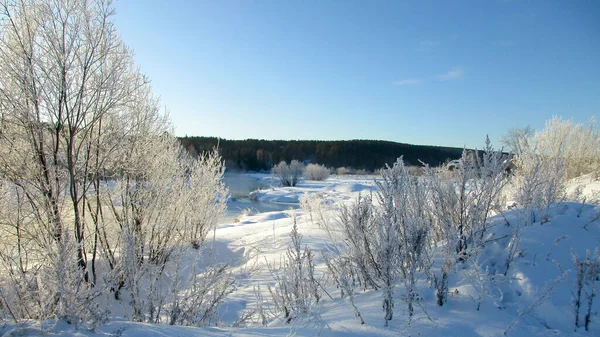Чарівний Пейзаж Морозний Зимовий День Над Річкою Піднімається Туман Кущі — стокове фото