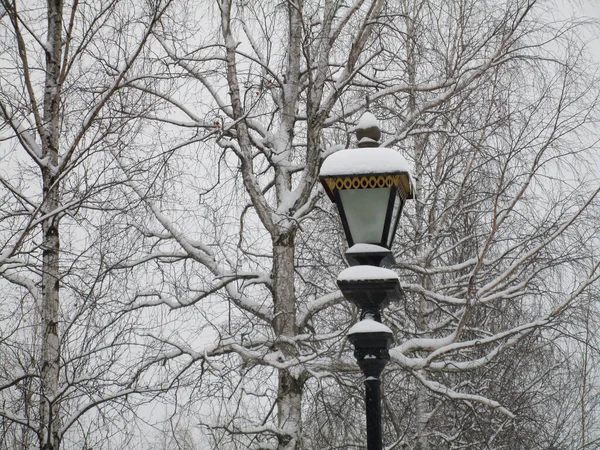 Sad Beauty Cloudy Frosty Day Emphasized Clear Lines Snow Covered — Stock Photo, Image