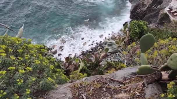 Zeekust Van Cinque Terre Met Zijn Dorpen Natuur Italië Tijdens — Stockvideo