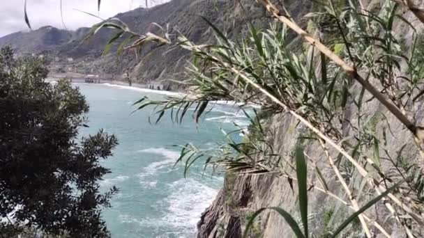 Litoral Cinque Terre Com Suas Aldeias Natureza Itália Durante Dia — Vídeo de Stock