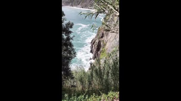 Litoral Cinque Terre Com Suas Aldeias Natureza Itália Durante Dia — Vídeo de Stock