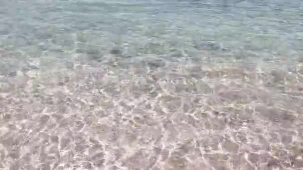 Litoral Salento Com Areia Rochas Caranguejos Algas Marinhas Itália Durante — Vídeo de Stock