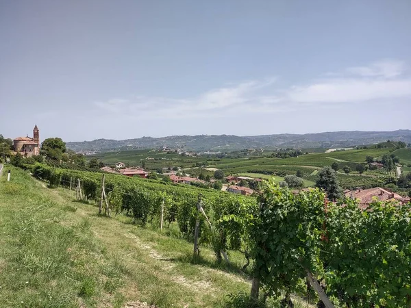 Εξοχή Στην Περιοχή Langhe Piedmont Της Ιταλίας Αμπελώνες — Φωτογραφία Αρχείου