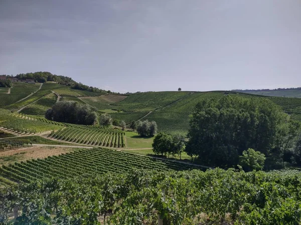 Εξοχή Στην Περιοχή Langhe Piedmont Της Ιταλίας Αμπελώνες — Φωτογραφία Αρχείου