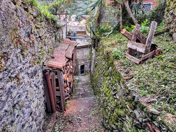 Seacoast Cinque Terre Its Villages Nature Italy Gloomy Day Spring — Stock Photo, Image