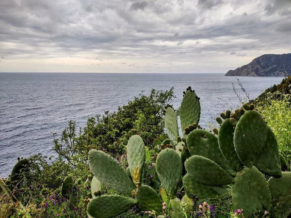 Costa Delle Cinque Terre Con Suoi Borghi Natura Italia Durante — Foto Stock