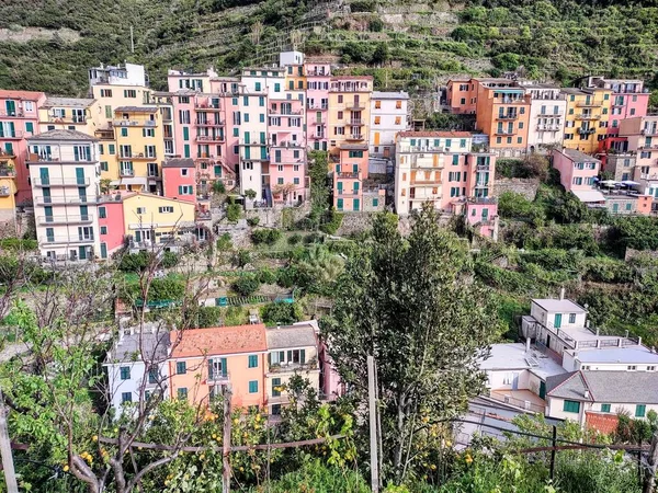 Seacoast Cinque Terre Its Villages Nature Italy Gloomy Day Spring — Stock Photo, Image