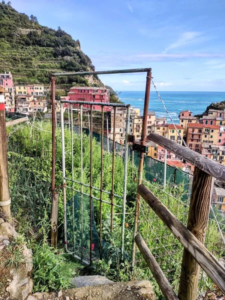 Zeekust Van Cinque Terre Met Zijn Dorpen Natuur Italië Tijdens — Stockfoto