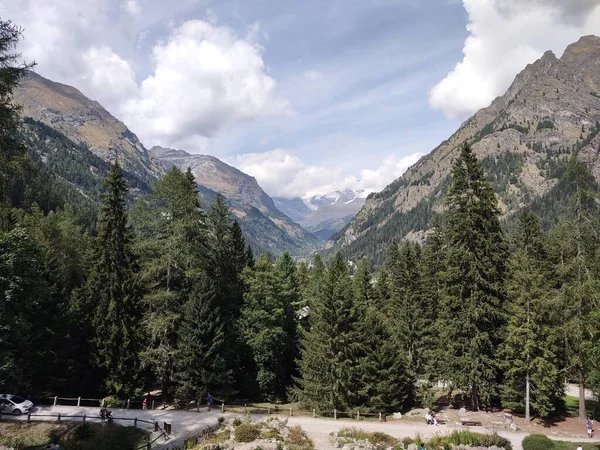 Macizo Monterosa Con Bosques Animales Los Alpes —  Fotos de Stock