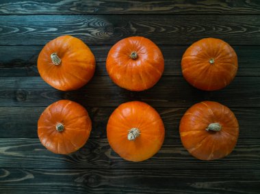 Sonbahar bahçesinde taze balkabağı ve kabak rengarenk altın yaprakları olan ağaçlar üzerinde kırmızı ve sarı yapraklı eski ahşap bir masanın üzerinde dikiliyorlar.