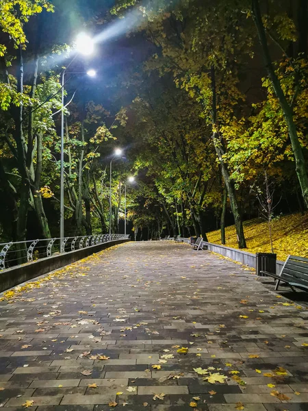 Feuchte Straße Park Herbst Goldene Bäume Und Umgefallenes Laub Bänke — Stockfoto