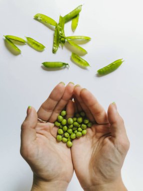 Yeşil bezelyeleri tutan ellerin üst görüntüsü. Beyaz arkaplan