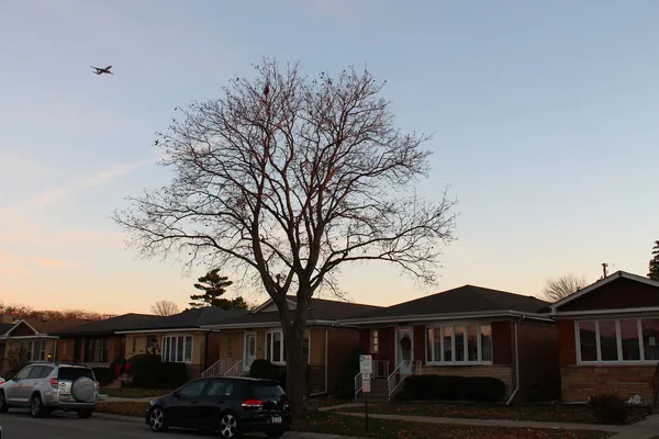Ağaç ve uçakla tepemizde uçan tuğlalı bungalov evleri.