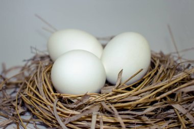 Yuvadaki paskalya yumurtaları