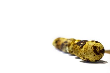 Bıldırcın yumurtası sanatı