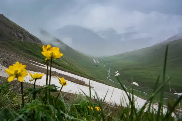 Kırgızistan 'da Son-Kul Gölü' ne giden dağ geçidi.