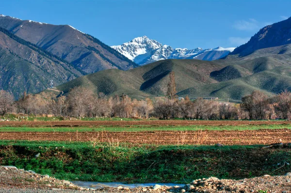 Campos Primavera Fundo Montanhas Nevadas — Fotografia de Stock