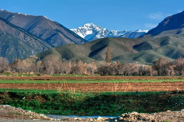 Campi Primaverili Sullo Sfondo Montagne Innevate — Foto Stock