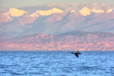 Kırgızistan 'da bir dağ gölünün üzerinde gün batımı