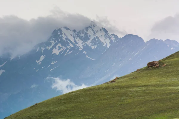 Karlı kayaların arka planında yeşil dağ yamacı