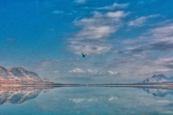 Bir dağ gölünün üzerinde uçan kuş..